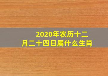 2020年农历十二月二十四日属什么生肖