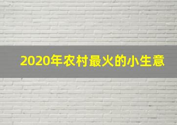 2020年农村最火的小生意