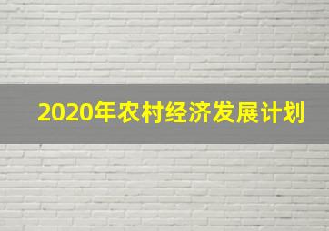 2020年农村经济发展计划