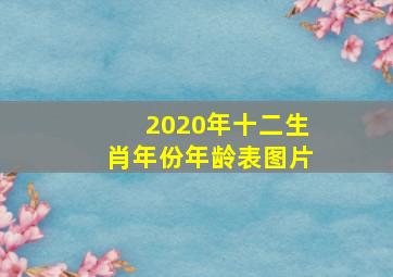 2020年十二生肖年份年龄表图片