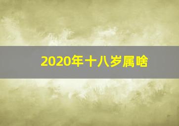 2020年十八岁属啥