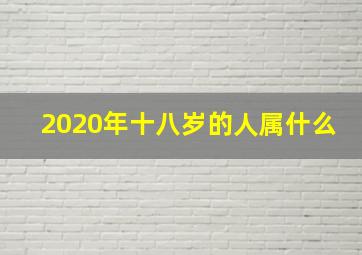 2020年十八岁的人属什么