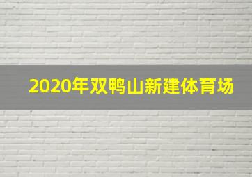 2020年双鸭山新建体育场