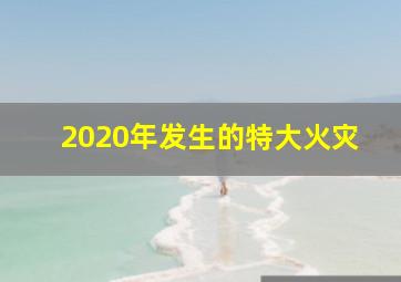 2020年发生的特大火灾