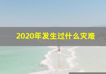 2020年发生过什么灾难