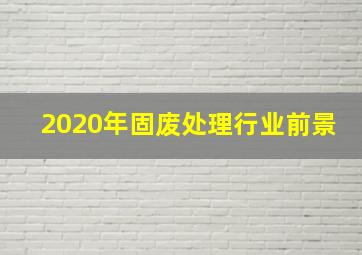 2020年固废处理行业前景