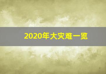 2020年大灾难一览