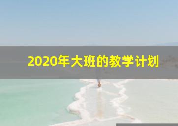 2020年大班的教学计划