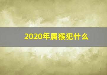 2020年属猴犯什么