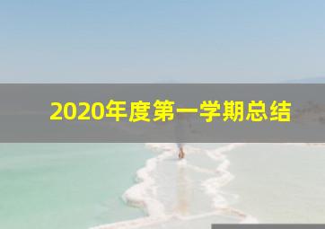 2020年度第一学期总结