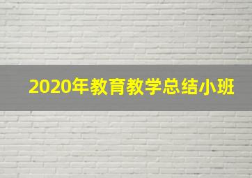 2020年教育教学总结小班