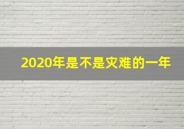 2020年是不是灾难的一年