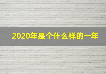 2020年是个什么样的一年