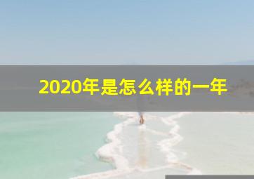 2020年是怎么样的一年