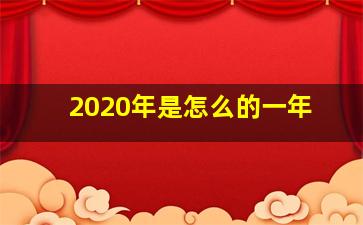 2020年是怎么的一年