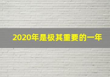 2020年是极其重要的一年