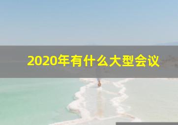 2020年有什么大型会议