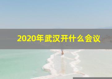 2020年武汉开什么会议