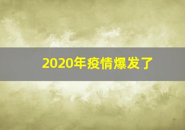 2020年疫情爆发了