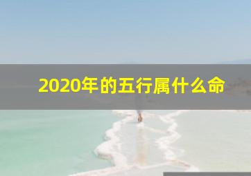 2020年的五行属什么命