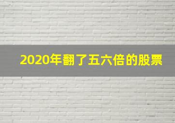 2020年翻了五六倍的股票