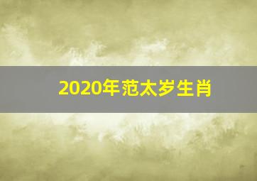 2020年范太岁生肖