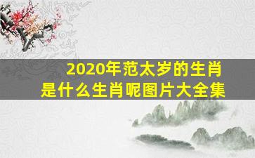 2020年范太岁的生肖是什么生肖呢图片大全集