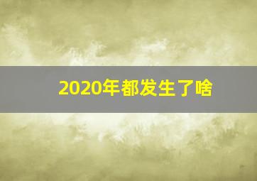 2020年都发生了啥