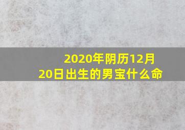 2020年阴历12月20日出生的男宝什么命