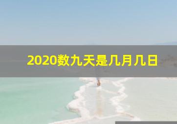 2020数九天是几月几日