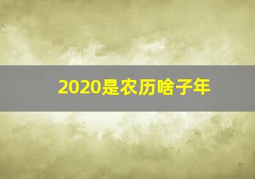 2020是农历啥子年