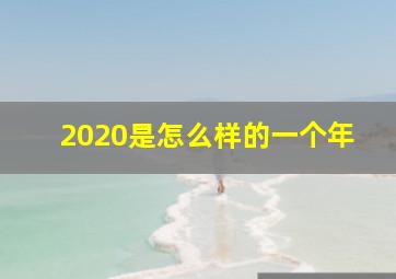 2020是怎么样的一个年