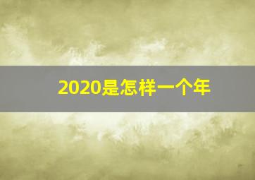 2020是怎样一个年