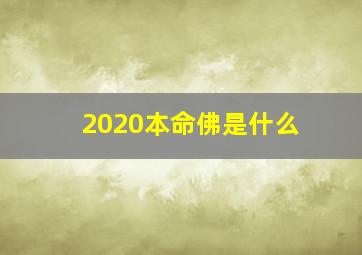 2020本命佛是什么