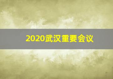 2020武汉重要会议