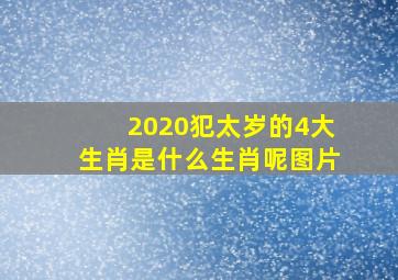 2020犯太岁的4大生肖是什么生肖呢图片