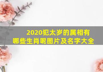 2020犯太岁的属相有哪些生肖呢图片及名字大全