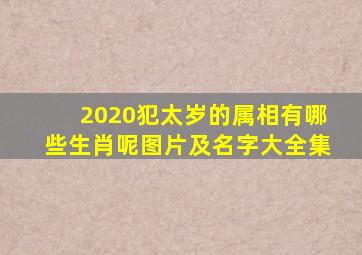 2020犯太岁的属相有哪些生肖呢图片及名字大全集