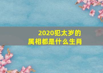 2020犯太岁的属相都是什么生肖