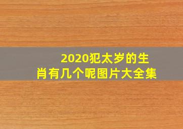 2020犯太岁的生肖有几个呢图片大全集