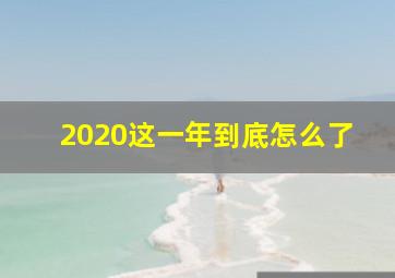 2020这一年到底怎么了