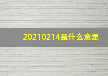 20210214是什么意思