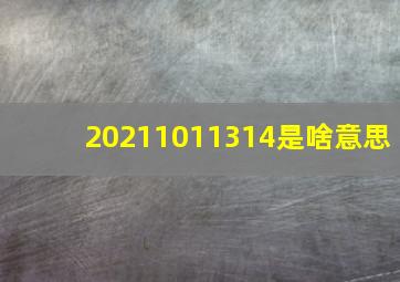 20211011314是啥意思