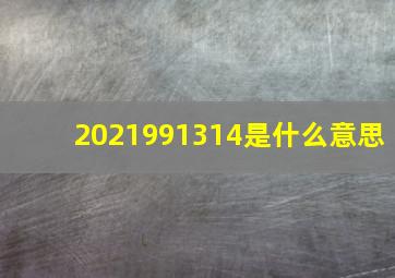 2021991314是什么意思