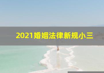 2021婚姻法律新规小三