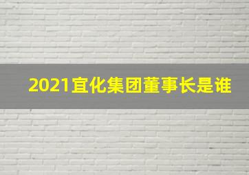 2021宜化集团董事长是谁