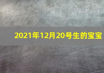 2021年12月20号生的宝宝