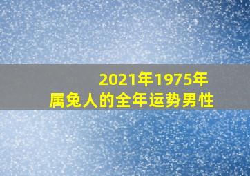 2021年1975年属兔人的全年运势男性