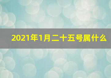 2021年1月二十五号属什么