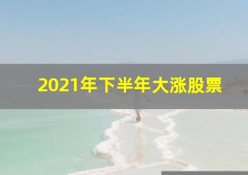 2021年下半年大涨股票